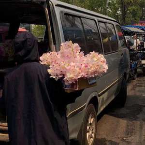 18🈲视频❌❌❌九幺
