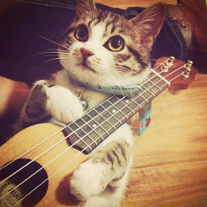 18🈲视频❌❌❌九幺
